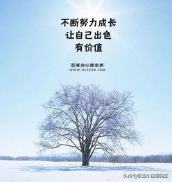 怎么样才能死得有价值呢
