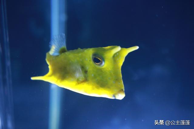 海外生活怎么拍照，海外生活怎么拍照片