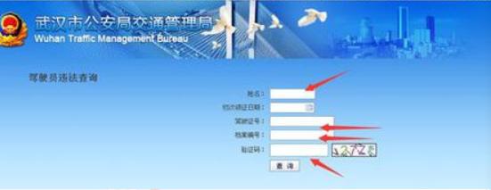 行驶证怎么查行驶证怎么查询违章
