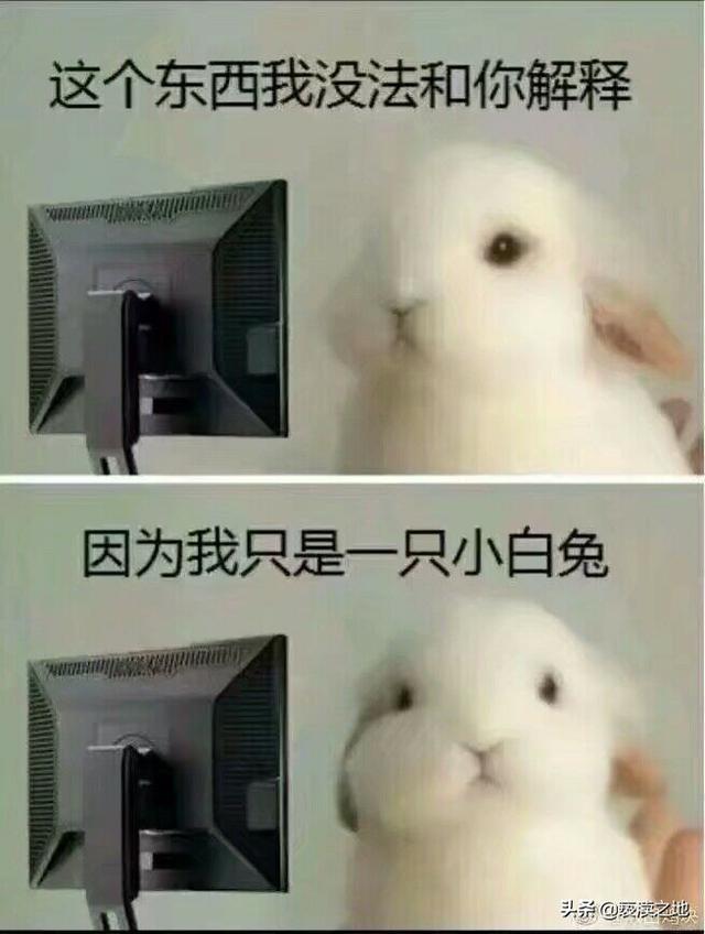 今年春天最火衣服搭配