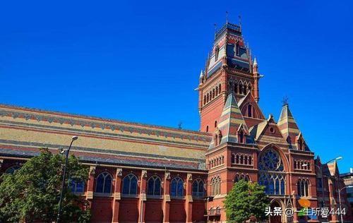 哈佛大学位于哪个城市?