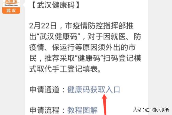 武汉市要有什么码