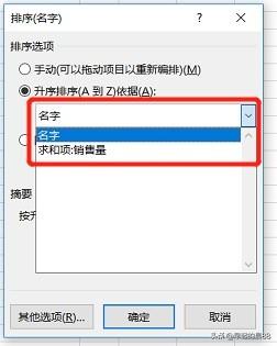 数据透视表怎么排序(图3)