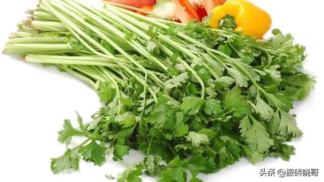 喜欢吃芹菜怎么吃都不(图3)
