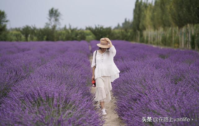 暑假旅游穿搭新疆美女， 暑假旅游穿搭新疆美女视频