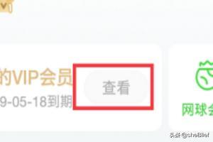 爱奇艺vip爱奇艺vip可以几个人一起使用