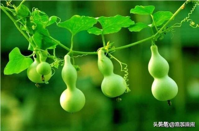 穿成男配他前妻_穿成男配他前妻讲的什么