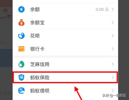 支付宝相互保怎么退出，支付宝相互保怎么退出能退回本金吗