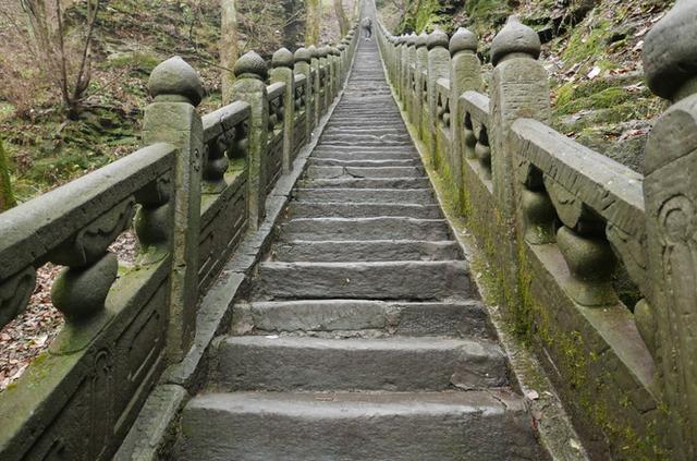 湖北天门养殖青蛙-