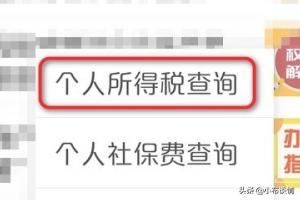 地方税务局网站助力个人纳税，让你轻松缴税无烦恼，税务局怎么交个人所得税