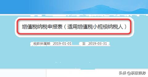 小规模纳税人怎么申报，小规模纳税人怎么申报纳税