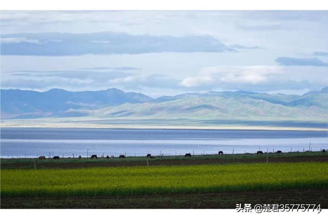 海西蒙古族藏族自治州德令哈市纸飞机账号购买平台