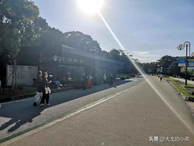 涉县春天旅游景点大全介绍， 涉县春天旅游景点大全介绍图片