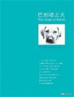写狗的小说