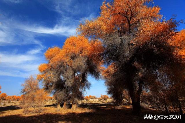 国内旅游线路都有哪些,国内旅游线路都有哪些地方