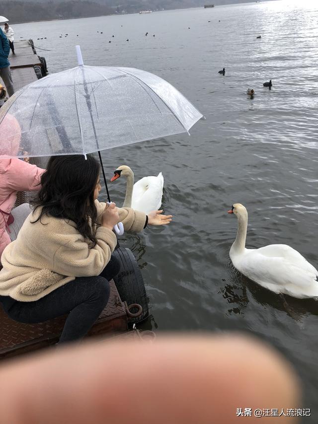 大学生旅游计划书-大学生旅游计划书模板