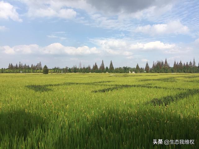 医疗保险崇明办理中心电话_上海医保卡去哪里领取 换工作了？