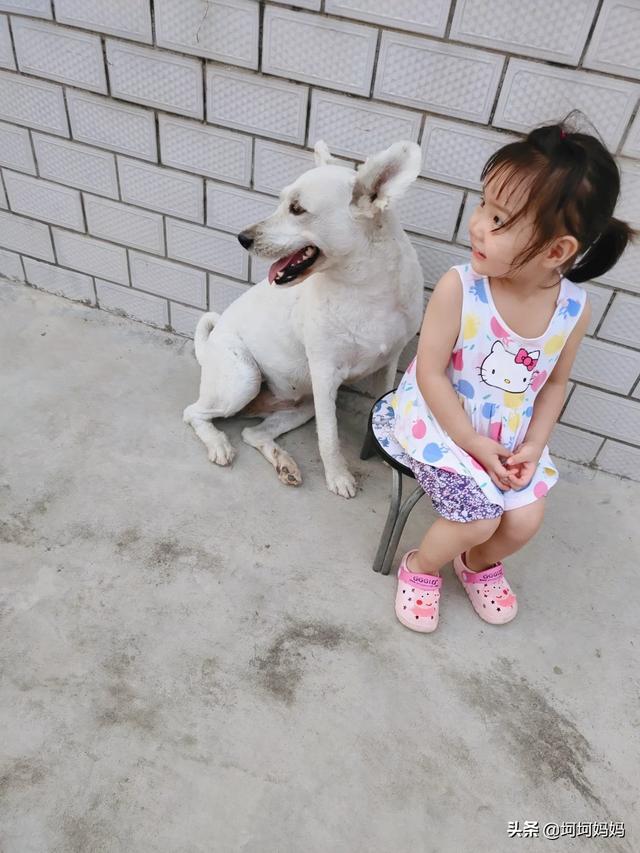 寵物與嬰兒?寵物與嬰兒故事!