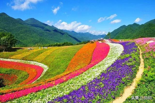 探戈旅游景点大全， 探戈旅游景点大全图片