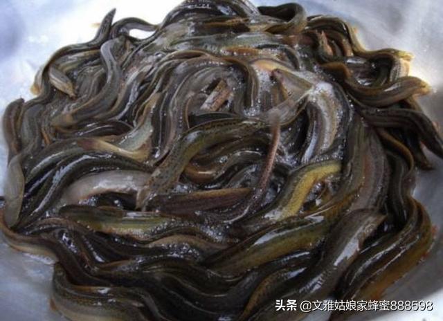 佛山市台湾商品店在哪里