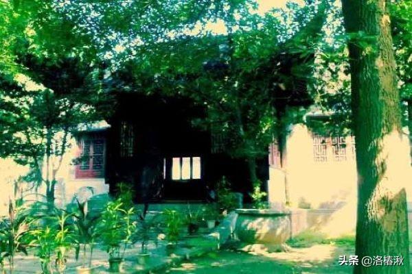 竹石古诗的翻译（竹石古诗的翻译及原文）