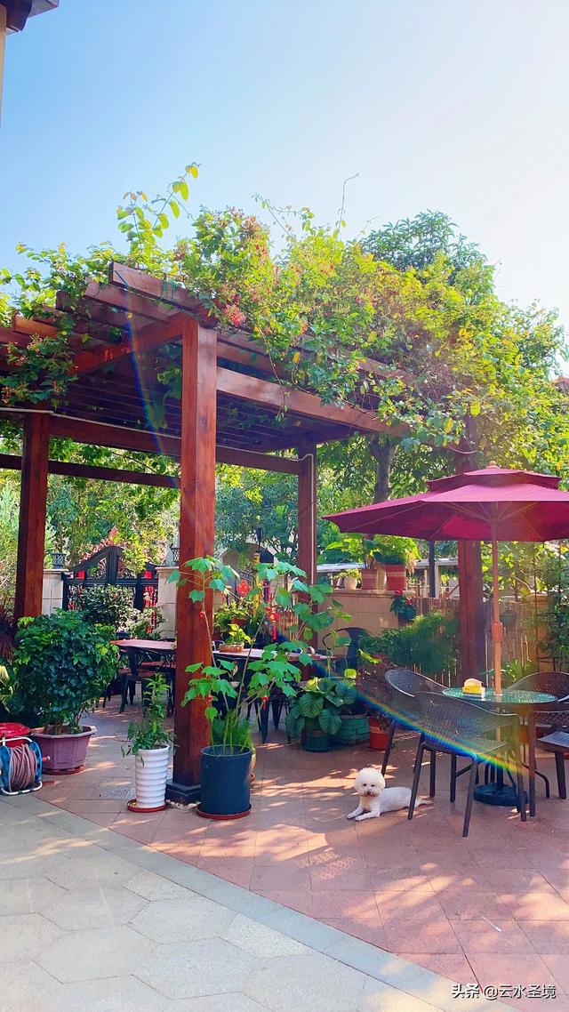 国外庭院景观设计实景国外庭院景观设计实景图