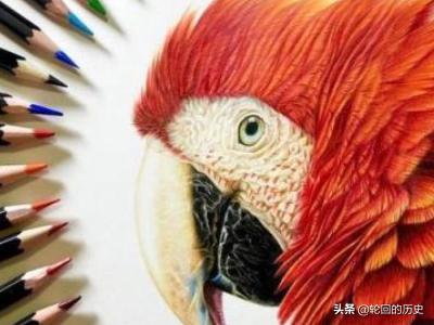 画衣服如何搭配颜色好看(图4)