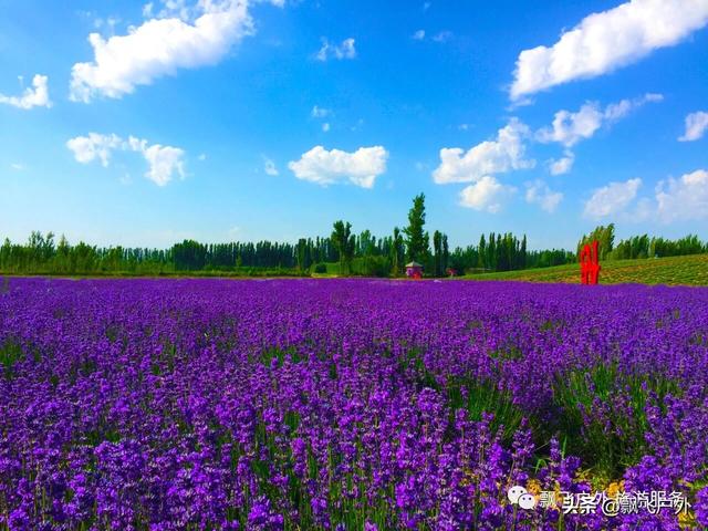 惠远古城景点门票价格， 惠远古城景点门票价格表