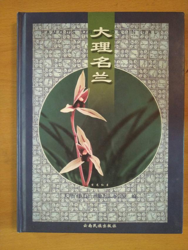 鹤庆兰花网 （鹤庆兰花网最新价格表）