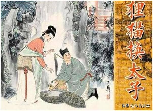 狸猫换太子的故事_狸猫换太子的故事中太子的生母是谁