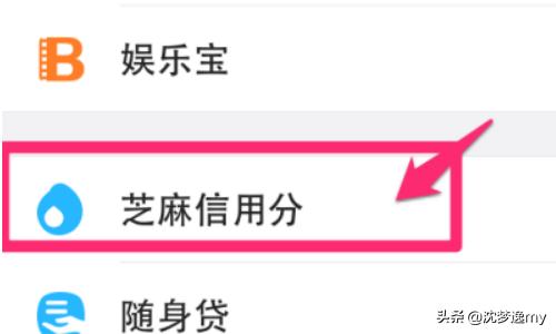 什么是芝麻分怎样查？：芝麻分怎么查