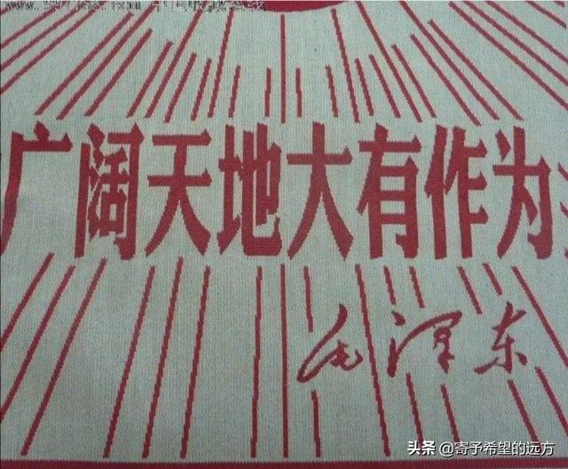 安卓培训（it培训课程有哪些？IT培训具体都是培训什么？）