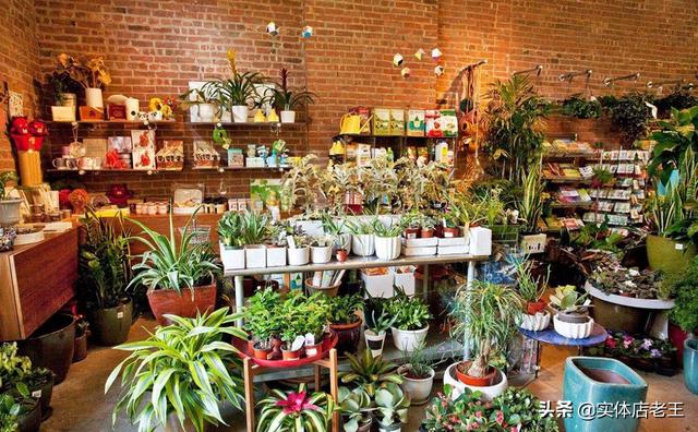 花店物语怎么赚钱快 花店物语快速赚钱-第2张图片-春华游戏网