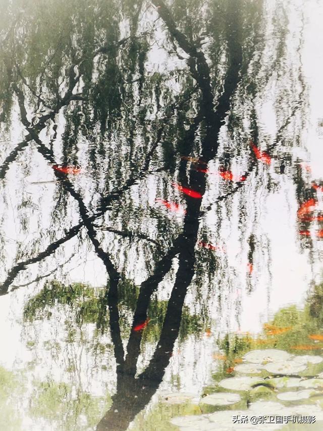 女性艺术摄影活动方案（女性艺术摄影活动方案设计）(图10)