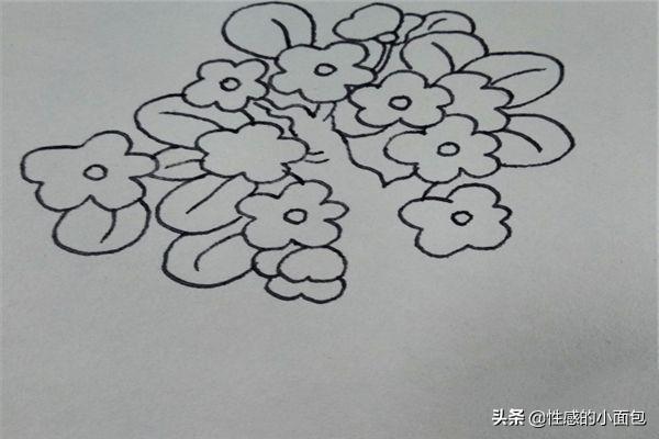 花卉树木手绘简笔画大全-花卉树木手绘简笔画大全图片