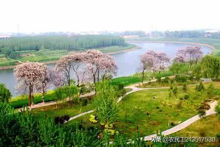 求助，农村与区域发展专业怎么样？