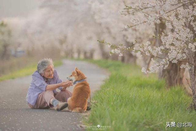 讲故事的五个要素（讲故事的几个要点）