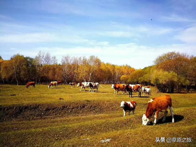 榆林市靖边县纸飞机账号购买服务