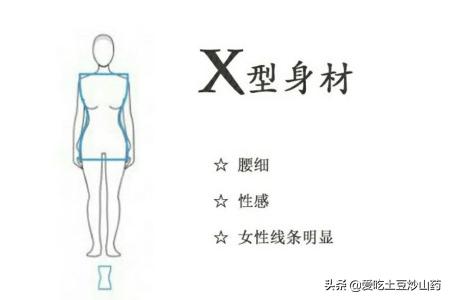 什么是香蕉(什么是香蕉型身材)