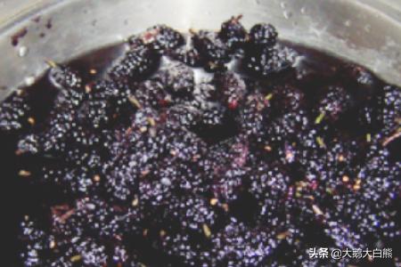 桑果榨汁有什么功效(图2)