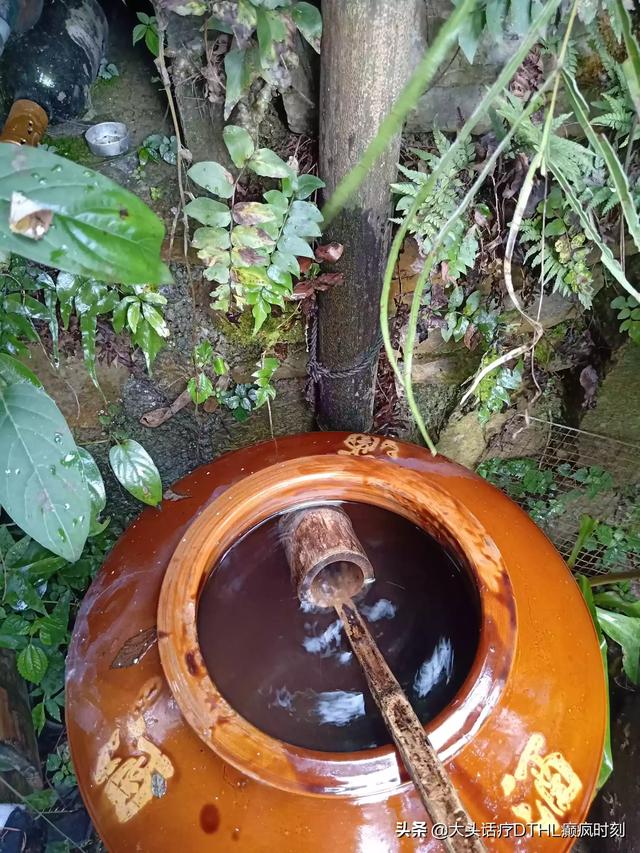 免费咨询恋爱导师_免费咨询恋爱导师在线