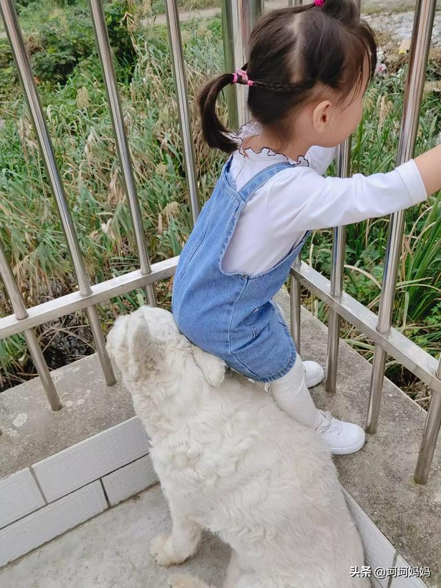 寵物與嬰兒?寵物與嬰兒故事!