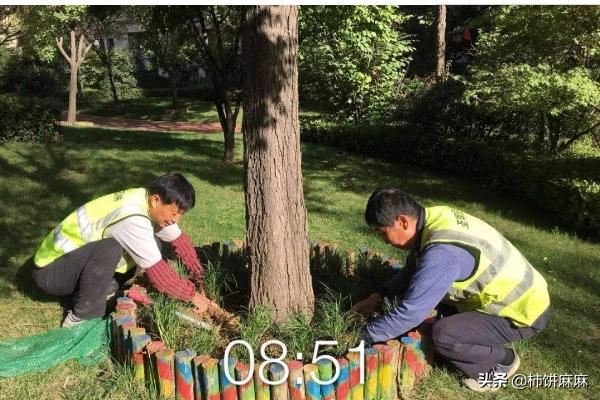 花卉图片画法 树木怎么画-花卉图片画法 树木怎么画好看