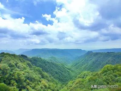 重庆看水杉的地方（重庆观赏红叶最佳地？）