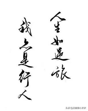 我亦是行人_我亦是行人是什么意思
