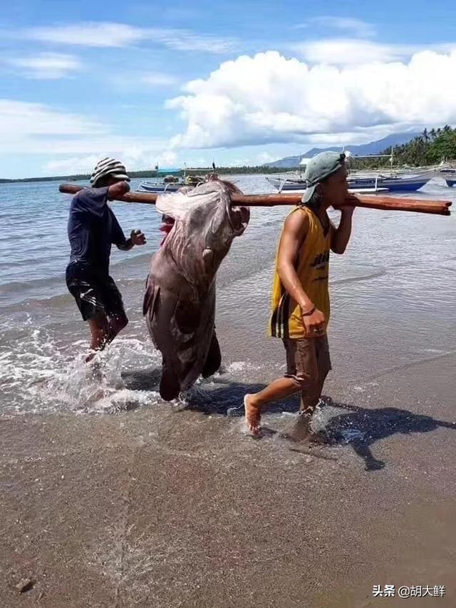 海外生活休闲度假，海外度假的好处