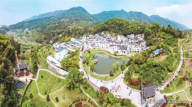 福建古田海带怎么样