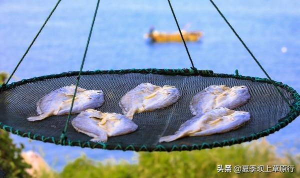 哪里比较适合旅游休息