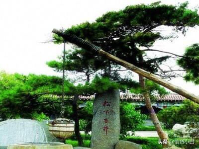 安丘景点大全旅游景点， 安丘景点大全旅游景点介绍