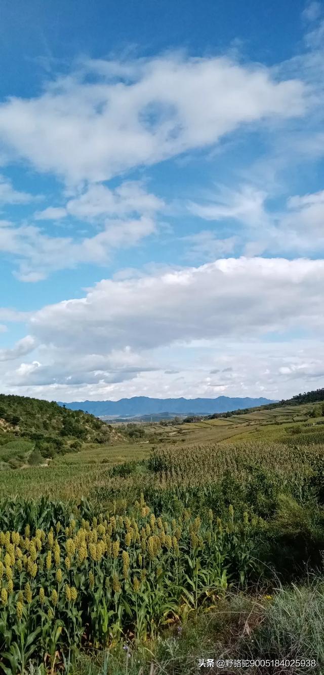 朝阳旅游景点大全排名， 辽宁朝阳旅游景点大全排名
